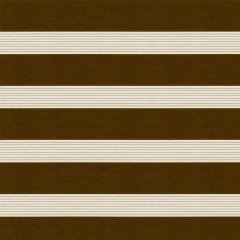 Рулонная штора День-ночь Зебра коричневый