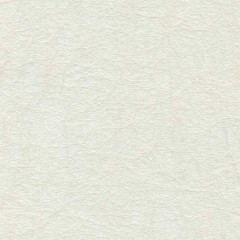 Рулонные шторы Мини Carezza 5873