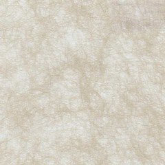 Рулонные шторы Мини Carezza 6133