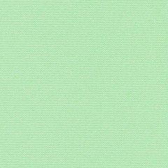 Рулонные шторы классические Альфа зеленый
