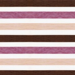 Рулонные шторы День-ночь Мини Дайкири вишневый