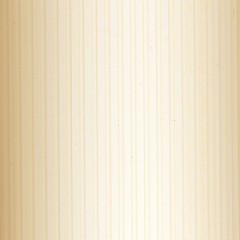 Вертикальные жалюзи пластиковые Рибкорд бежевый