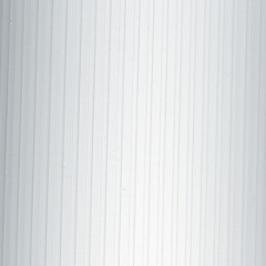 Вертикальные жалюзи пластиковые Рибкорд белый