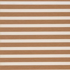 Рулонные шторы День-ночь Мини Монтана золото