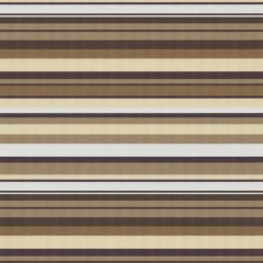 Рулонные шторы Мини California TS Print 1